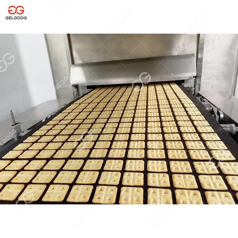 Automatic Small Scale Cracker Production Machinery Chocolate-Coated Hard Biscuit Machine