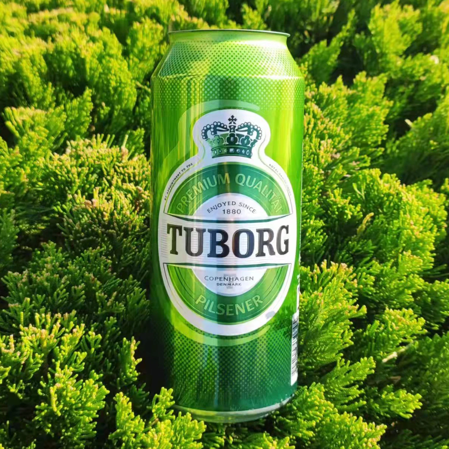 Aluminum Beverage Cans 1l 32oz With 209 Can Ends For Beer Energy