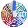 Pantone