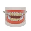 Denti inferiori in oro