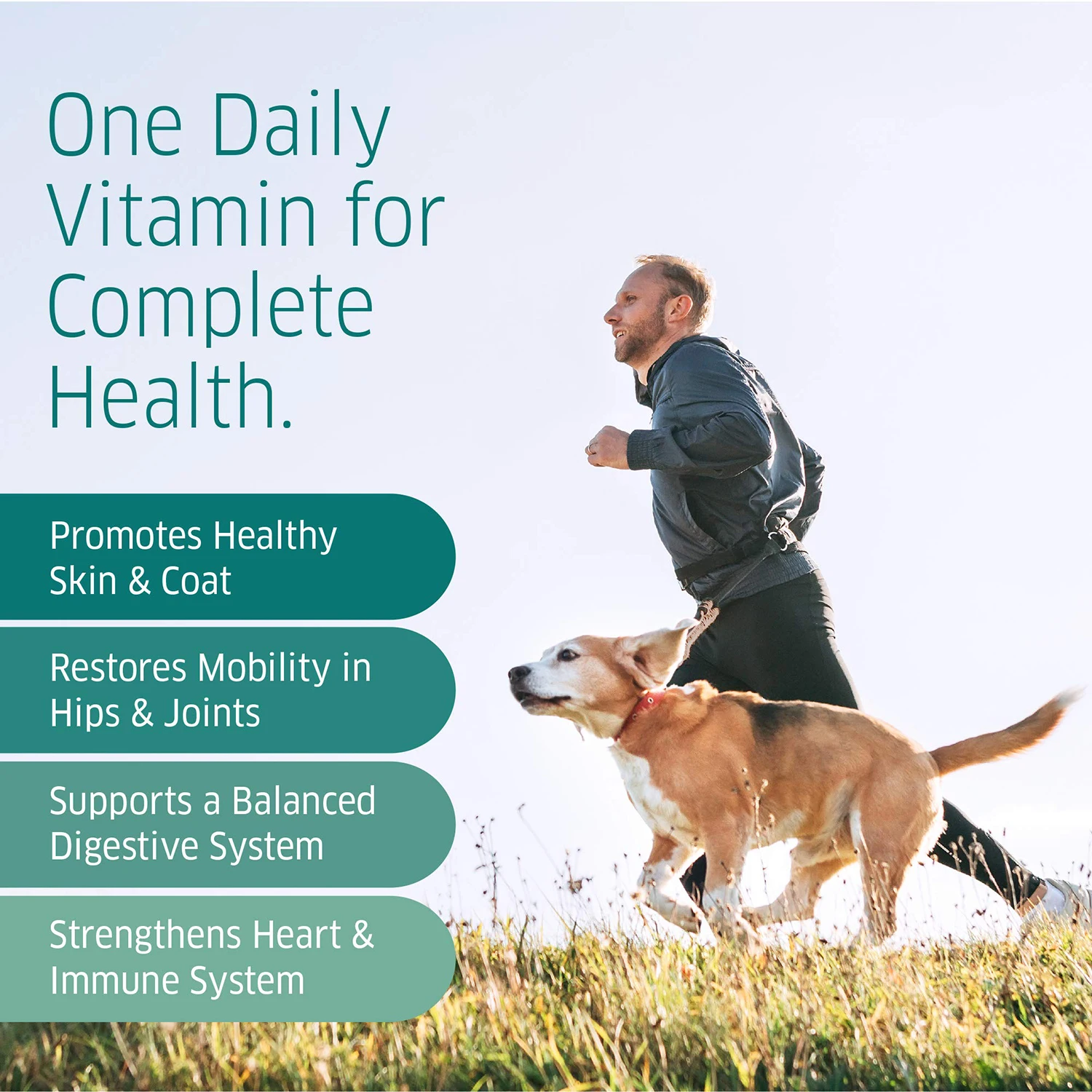 Oem Vitamin For Dogs Chews Dog Vitamins And Supplements For Puppies
