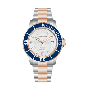 OEM Custom Logo 10ATM Waterproof Sapphire Crystal Stainless Steel Classic Automatic Watch for Men Luxury Top Brand High Quality