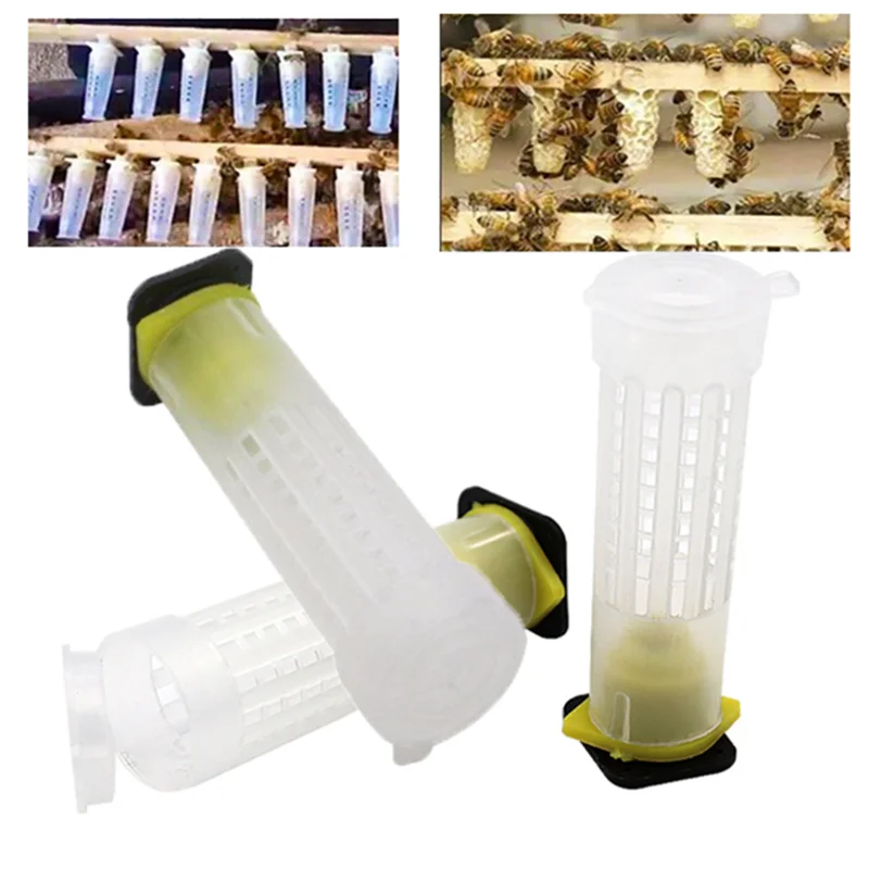 157 Pcs Beekeeping Tools Bee Tools Complete Queen Rearing Cell Cup Set Plastic Bee Queen Cage