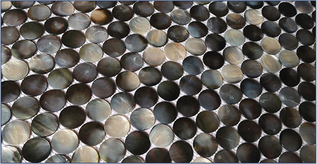 Circular Shell Mosaic Tiles Living Room Background Wall Cash Register ...