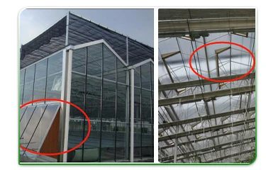 venlo glass greenhouse