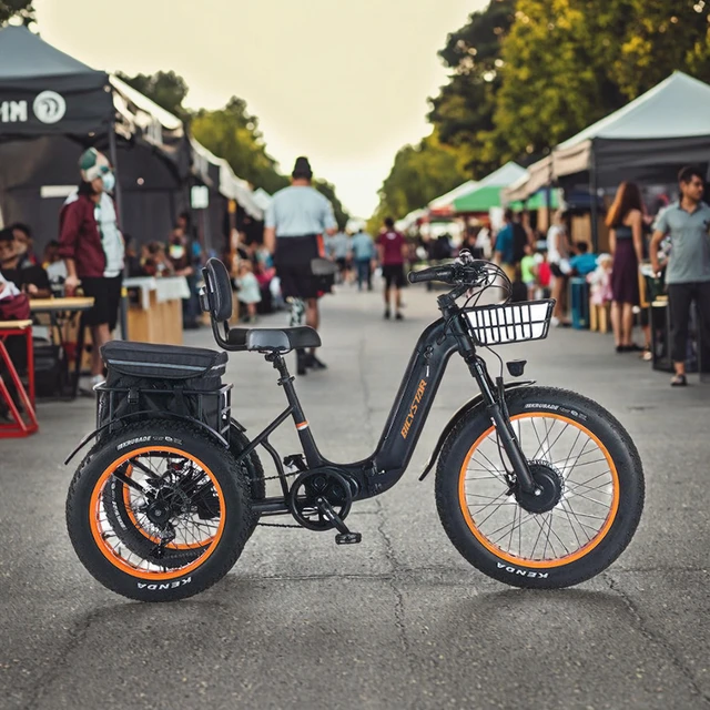 2025 48V 500W 24inch Fat Tire Pedicab Electric Tricycles with 3 Wheels and Basket for Cargo Transport