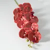 Film phalaenopsis red no. 2