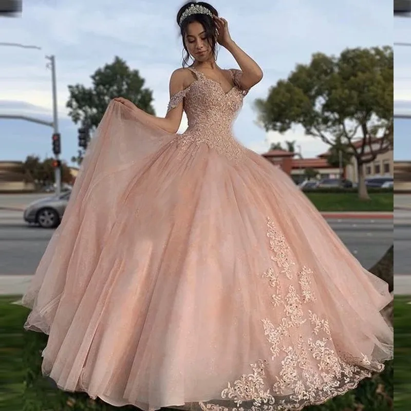 Princess Bride Princess Puffy Ball Gown Quinceanera Dresses 2019