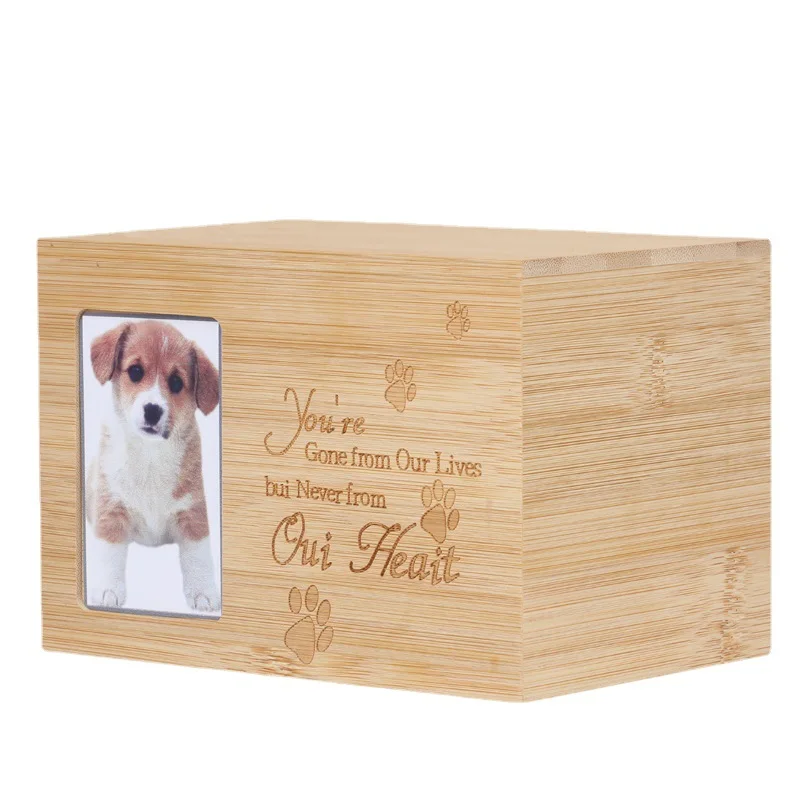 where to put dogs ashes