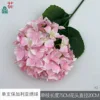 Hortensia búlgara individual XQ rosa intenso