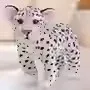 Leopardo bianco