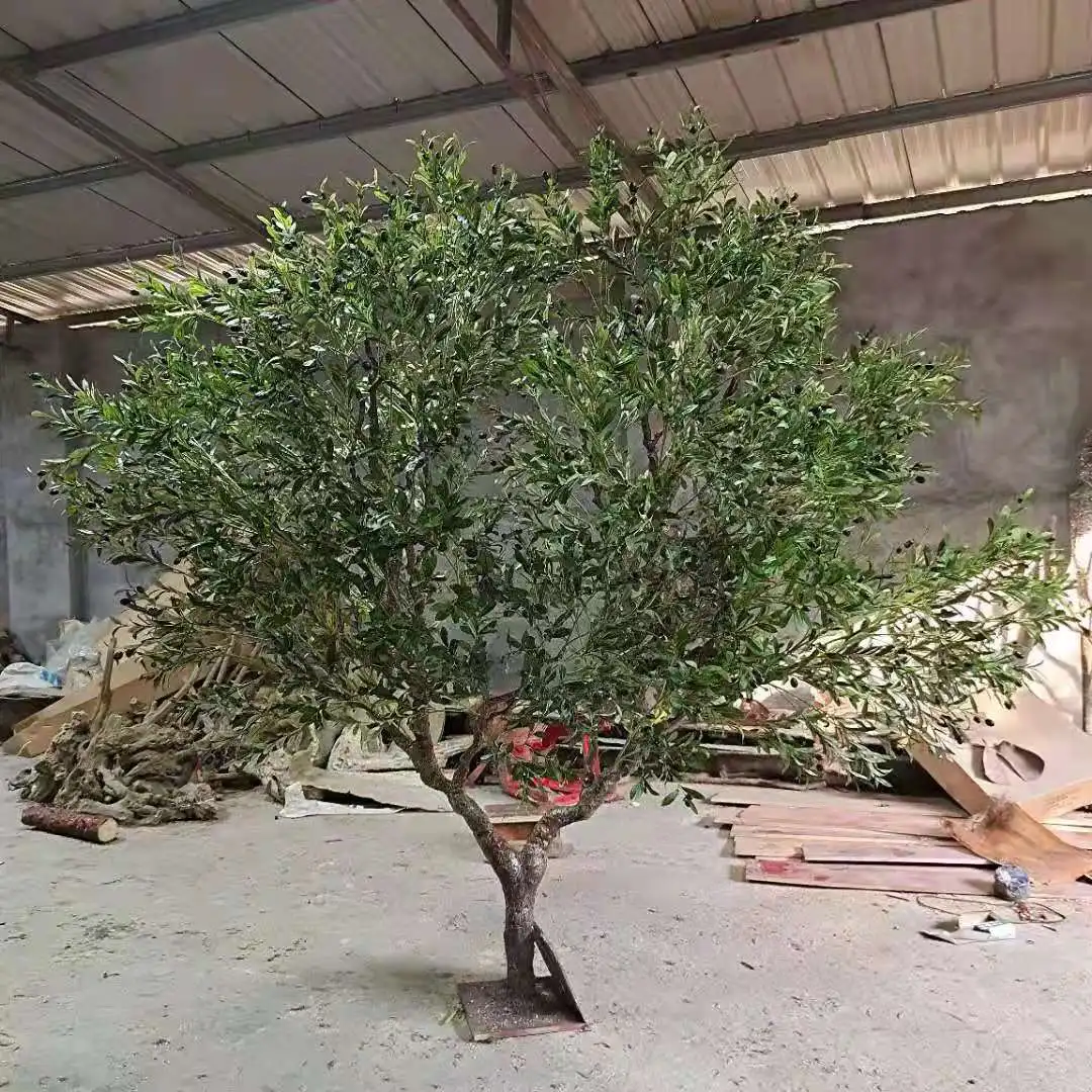 olivenbaum stämmchen kaufen Olea Europaea Olivenbaum auf Stamm Ø19cm 90cm kaufen