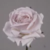 สีเทา
