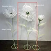 White single bloom-80 cm