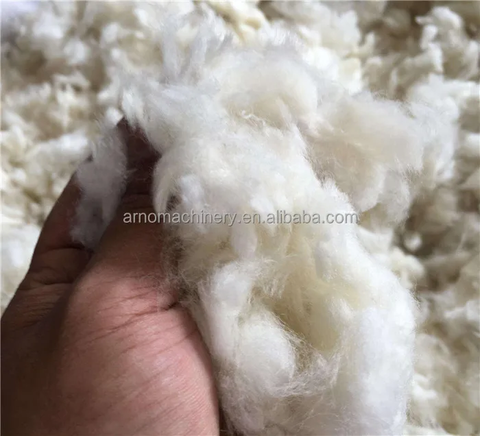 photo (11).jpg