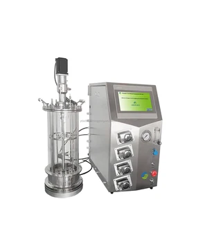 Glass bioreactor fermenter