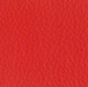Rosa R801