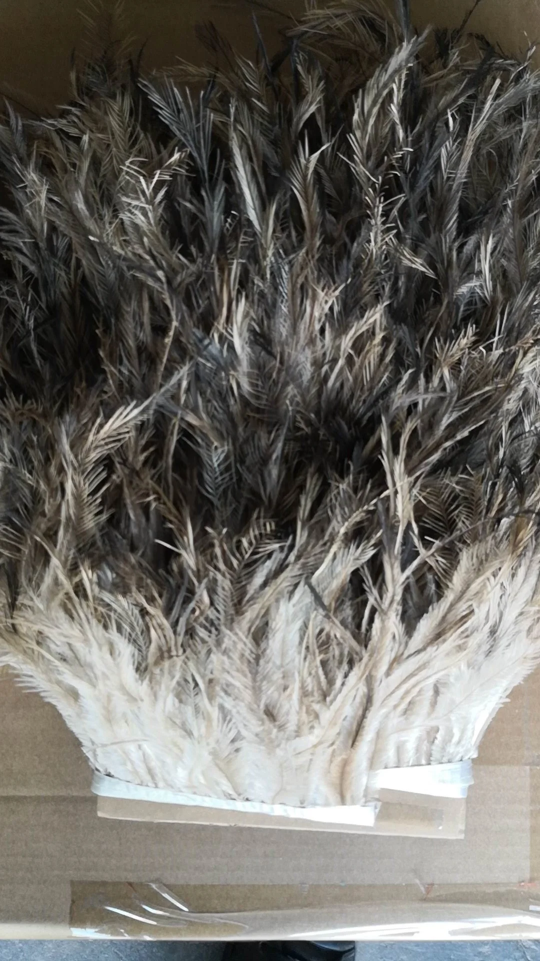 Эму перо бахрома отделка на тканевой ленте