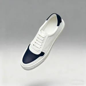 Luxury Designer Men's Casual Flat Sneakers High Quality Anti-Slip Mesh Insole Trendy Spring/ Autumn Walking Shoes