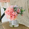 Hydrangea Handbook Deep Pink White Bottle