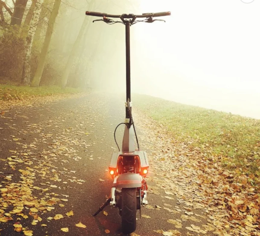 2020 Extreme Dual 1000wt hub motors (peaking 3600wt) и внедорожная подвеска Zero 10x Электрический скутер