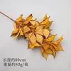 orange color