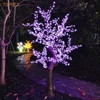 Pourpre