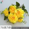 7-headed carnations XC Yellow