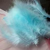 สีฟ้าเลคบลูอ่อน
