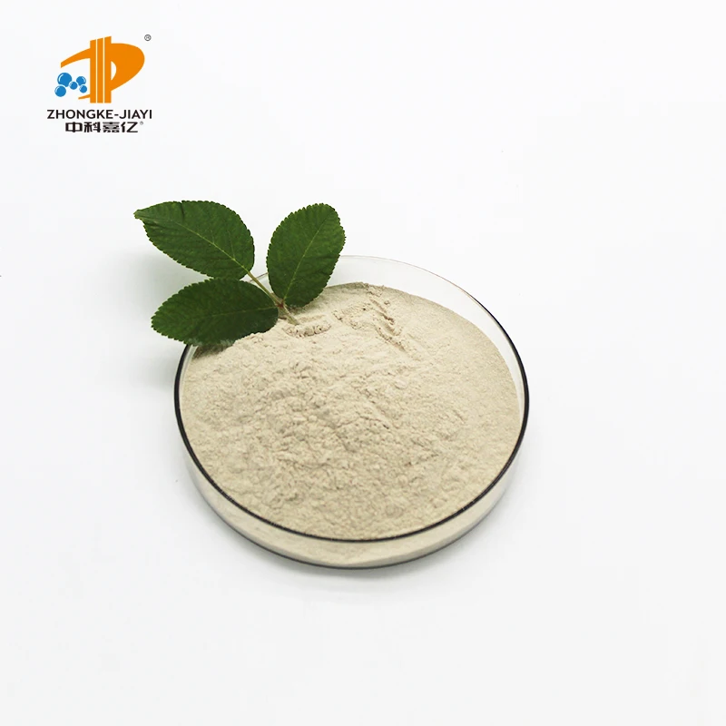 来自中国的有价值的饲料级益生菌供应商枯草芽孢杆菌 - buy feed