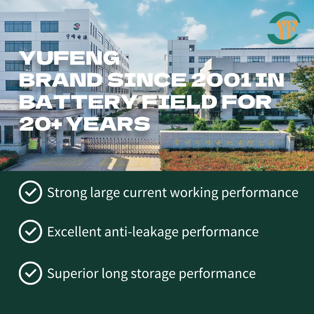 CR1025 プライマリリチウム電池 ボタン型コイン電池 Henli Max 3V 10mm 30mAh CGMおよび医療機器用