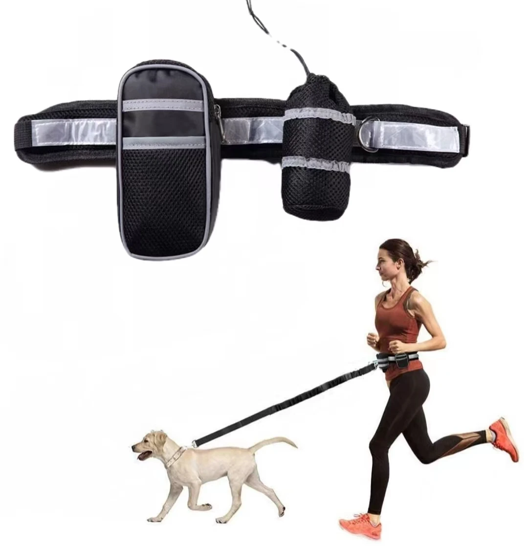 dog lead and harness holder