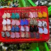 alas multicolores