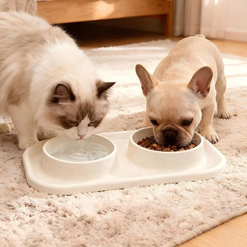 ODM&OEM Silicone Slow Food Bowl Anti-Overturning Dog Cat Water Feeding Bowl Multi-Functional for Small