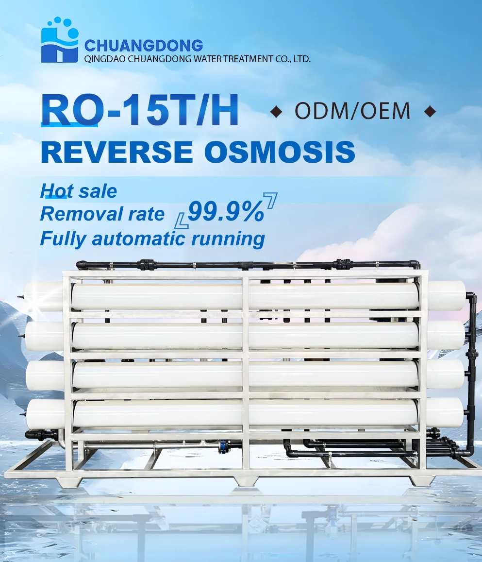 Compact Salt Drinking Water Factory RO Plant Desalination Equipment Groundwater Well Reverse Osmosis Machinery manufacture