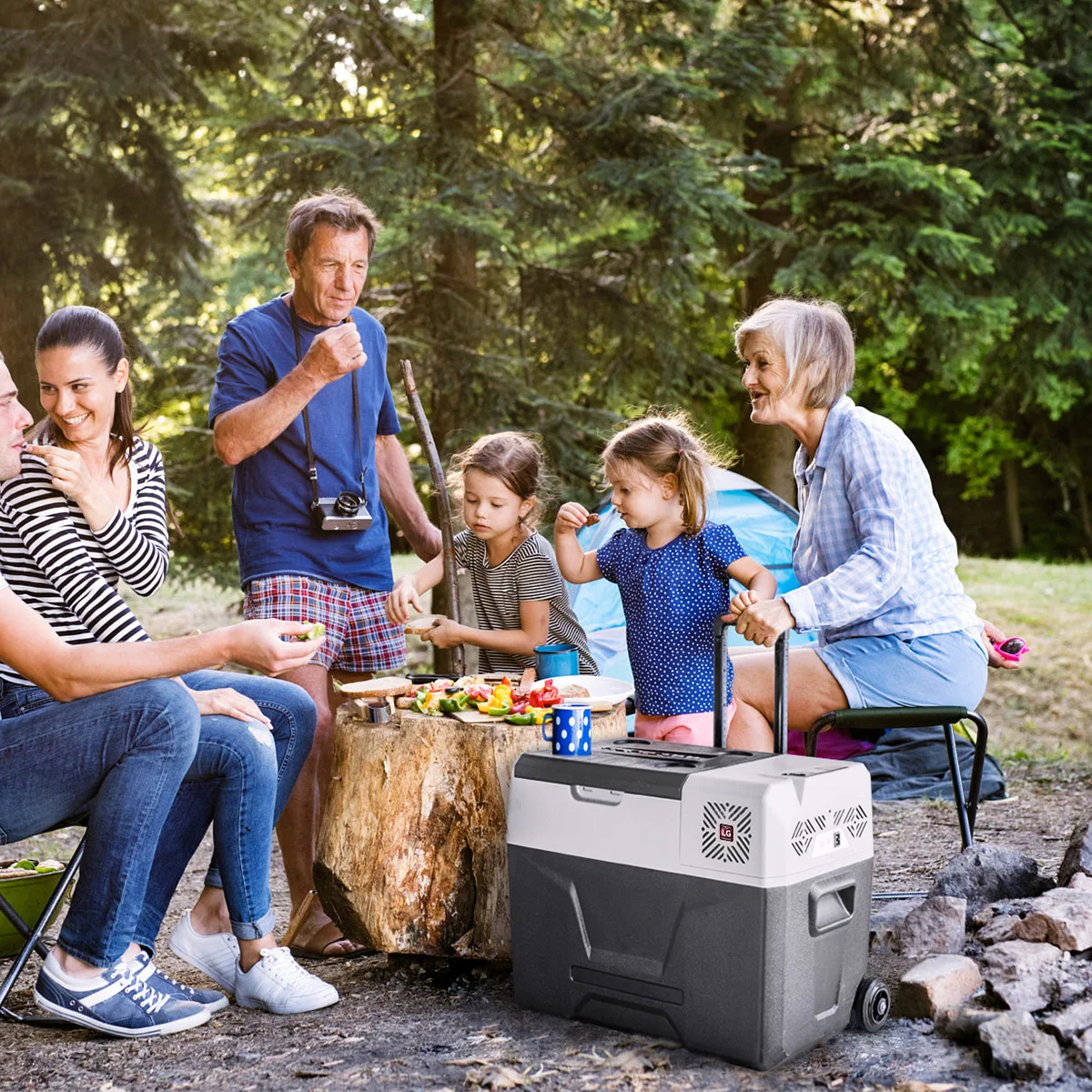 Alpicool CX40 39.3L Portable Fridge - Versatile & Efficient