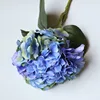 Purple blue #4