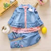 Q295 pink