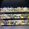 moss agate turtle