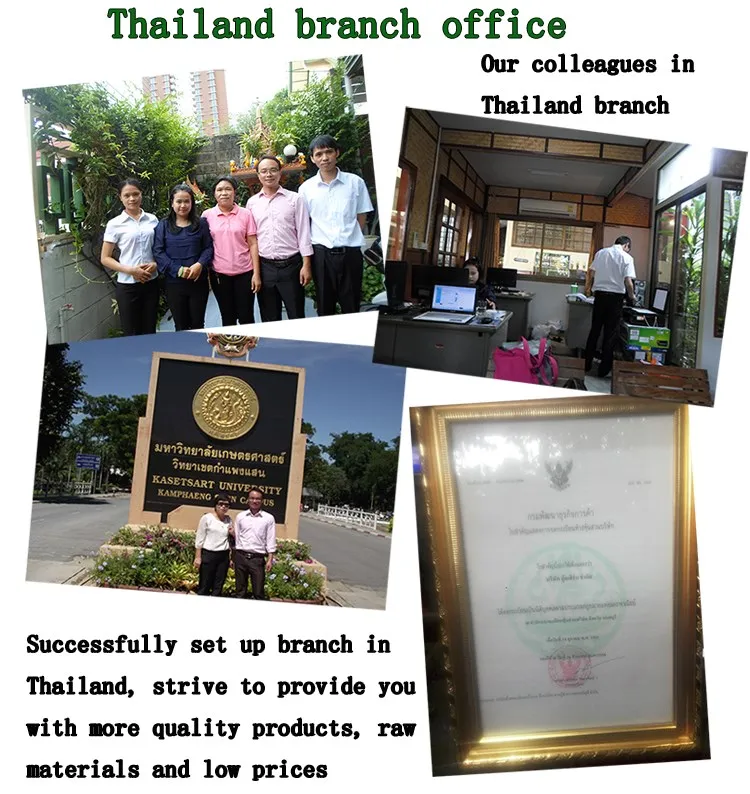 Guangxi Thamile Technology Co., Ltd. 2