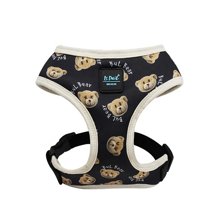 2024 Designer Nylon Pet Dogs Bravecto Supplies Luxury Eco Friendly Cat Dog Harness Set
