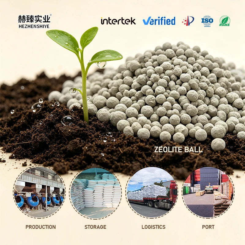 REACH Compliant ISO9001 Approved  Ammonia Nitrogen Removal Water Filter Media Bulk 2-4mm Natural Grey Porous Zeolite Ball