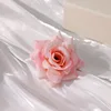 Pink rose head