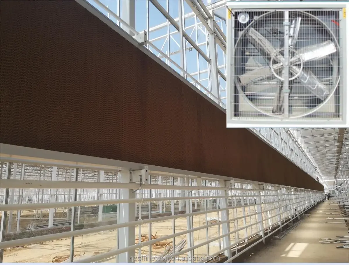 greenhouse