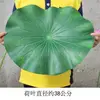 Estera grande de hoja de loto [38cm]