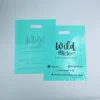 Bleu-vert