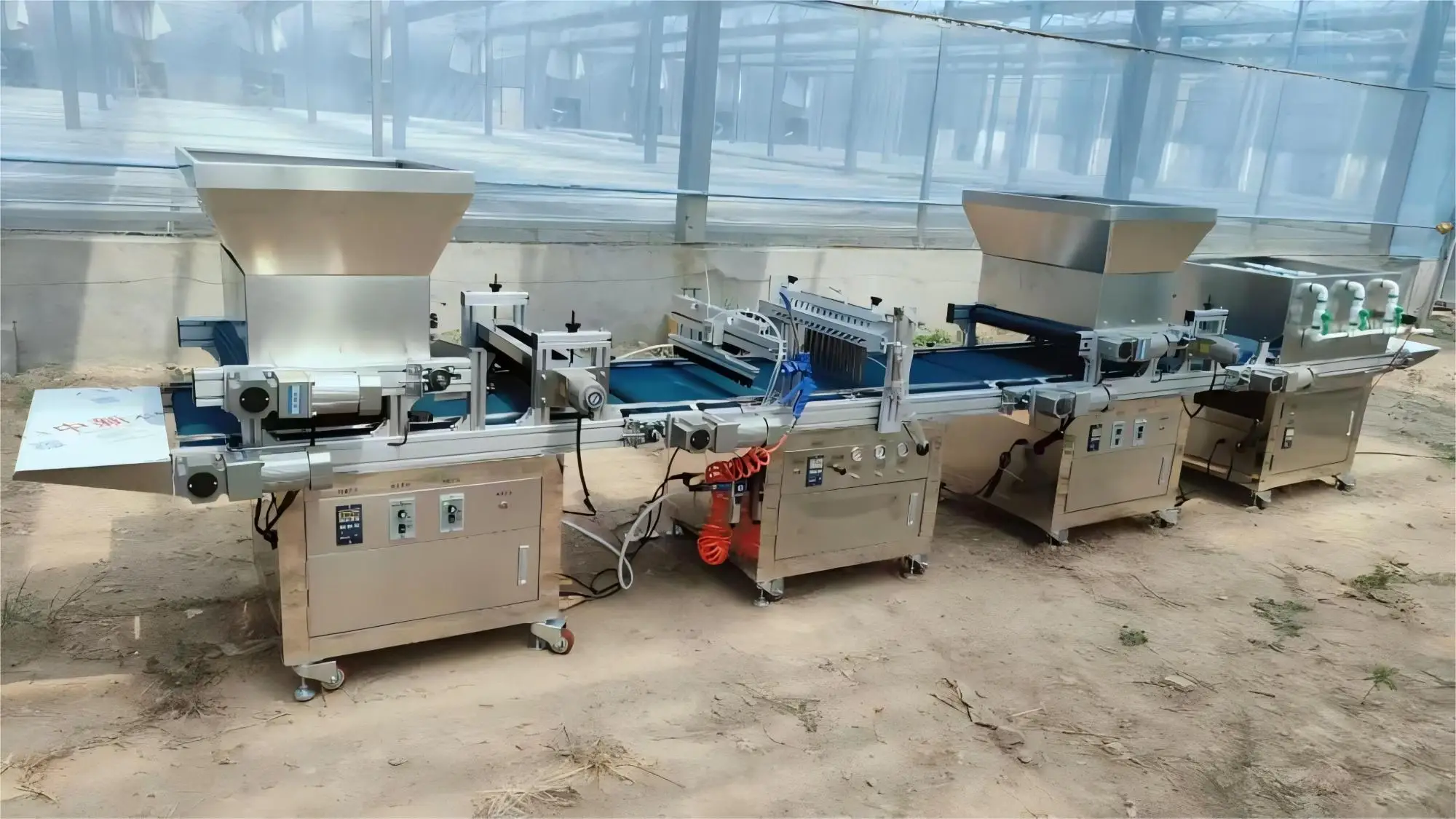 Vege Planting Machine Greenhouse Vegetable Nursery Machinery - Automatic Tray Seedling Machine