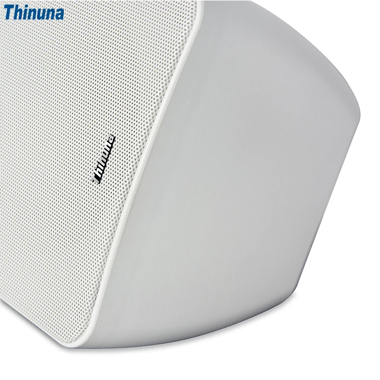 Thinuna WS6-BT Commercial PA System Wall Mount BT Speaker AC 110v-240v Waterproof Bluetooth Wall Speaker for Outdoor Application