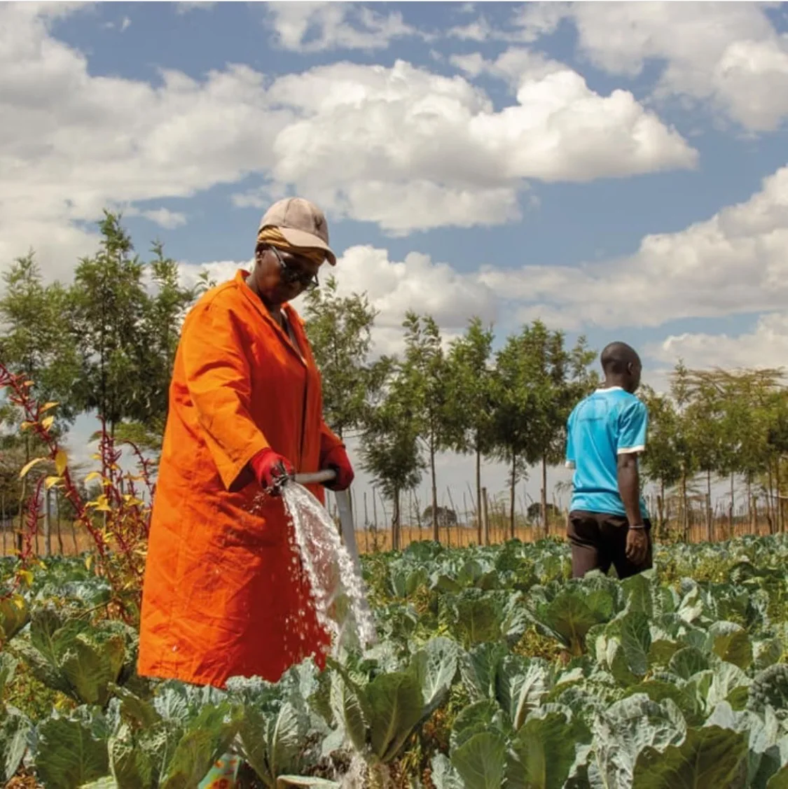 220V 2200w 36m 3/ч 38 м переменного тока/постоянного тока солнечной энергии Водяной насос 4/6 дюймовые рыболовные плоскогубцы из нержавеющей стали солнечные скважины водяной насос