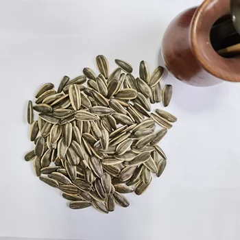 Various black and white sunflower seeds for oil extraction l sunflower seed pag